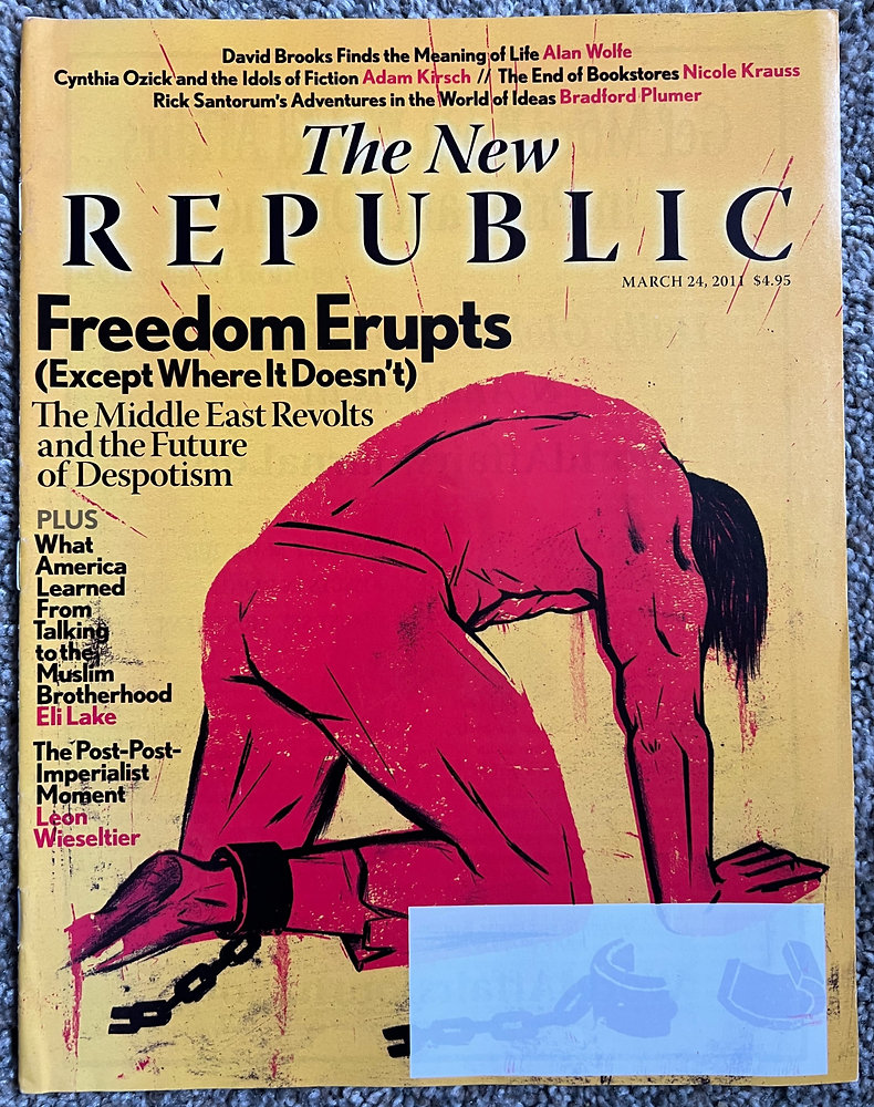 The New Republic Magazine - David Brooks encontra o sentido da vida
